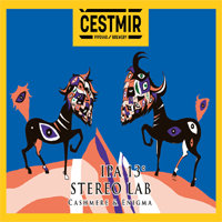 Cestmir 098