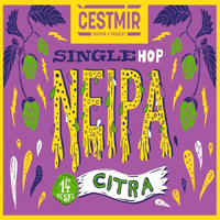 Cestmir 111