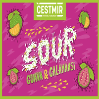 Cestmir 117