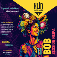 Klin 008