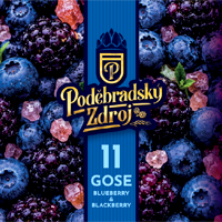 Podebrady 036
