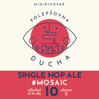 Polepsovna 011