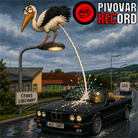 Record 019