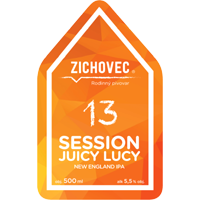 Zichoveckyl 229