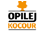 Opilej kocour