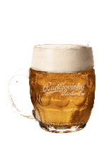 Budvar 003