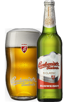 Budvar 004