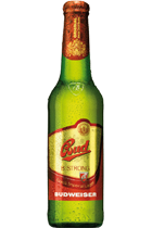 Budvar 005