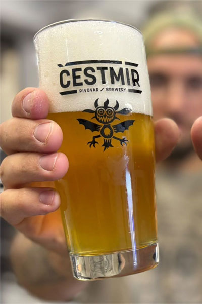 Kliknutím zvětšíte Cestmir 132