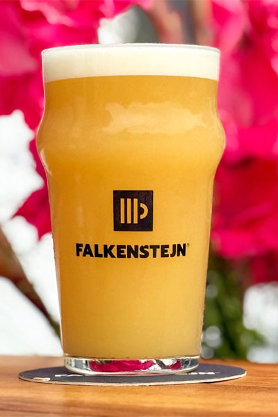 Kliknutím zvětšíte Falkenstejn 057