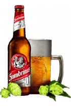 Gambrinus 003