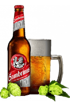 Gambrinus 006