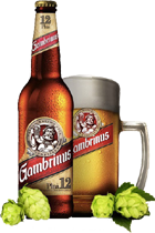 Gambrinus 011