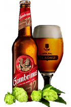 Gambrinus 015