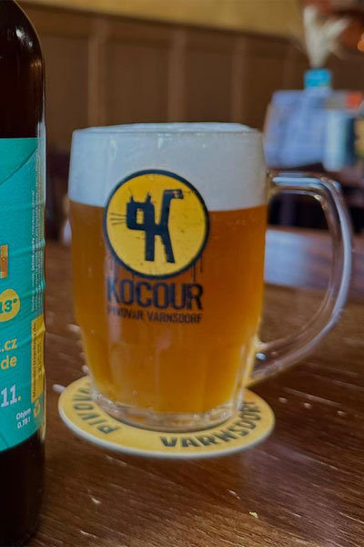 Kliknutím zvětšíte Kocour 063