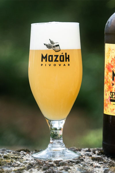 Kliknutím zvětšíte Mazak 181