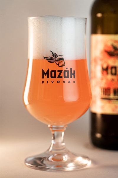 Kliknutím zvětšíte Mazak 189