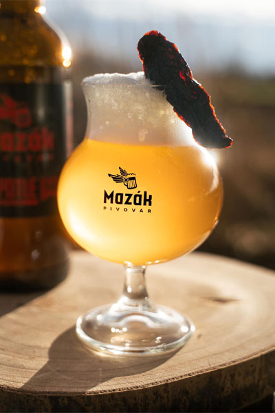 Kliknutím zvětšíte Mazak 198