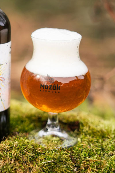 Kliknutím zvětšíte Mazak 203