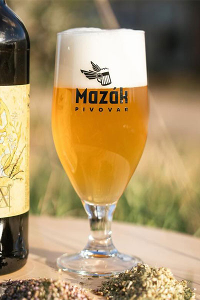 Kliknutím zvětšíte Mazak 204