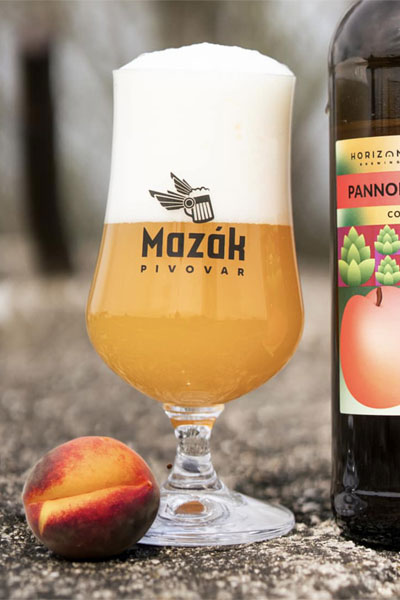 Kliknutím zvětšíte Mazak 205