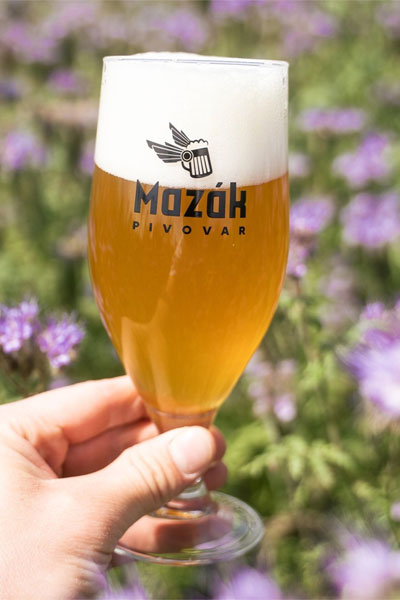 Kliknutím zvětšíte Mazak 214