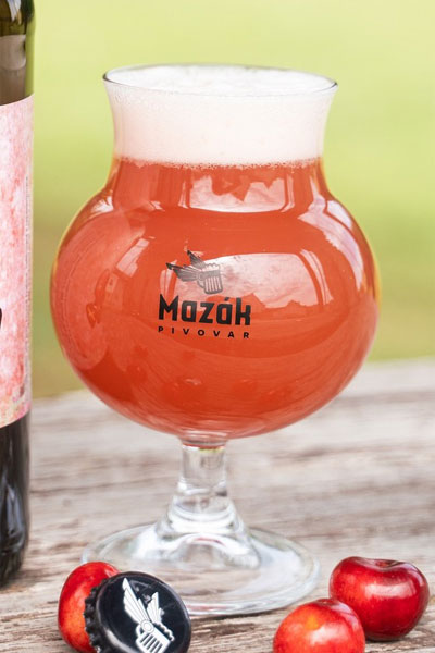 Kliknutím zvětšíte Mazak 215