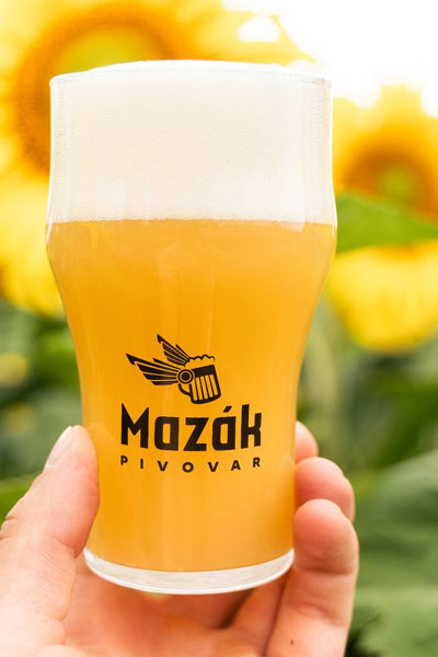 Kliknutím zvětšíte Mazak 219