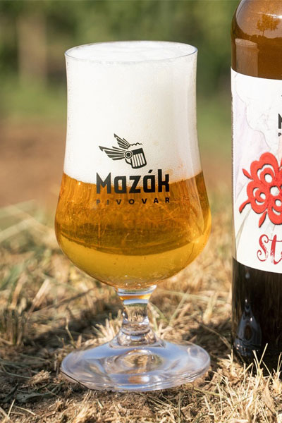 Kliknutím zvětšíte Mazak 220