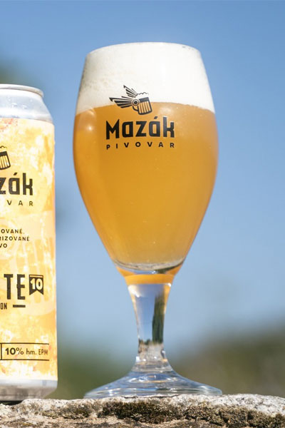 Kliknutím zvětšíte Mazak 221