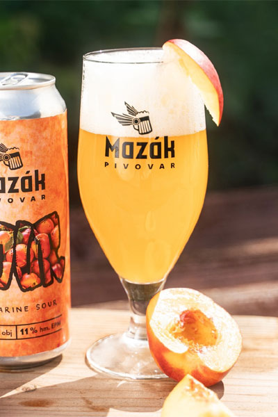 Kliknutím zvětšíte Mazak 222