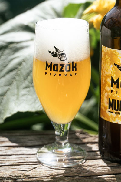 Kliknutím zvětšíte Mazak 225