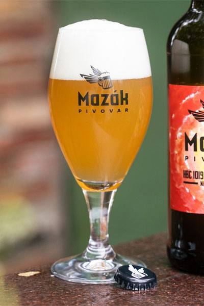 Kliknutím zvětšíte Mazak 227