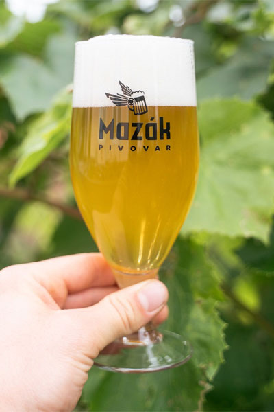 Kliknutím zvětšíte Mazak 230