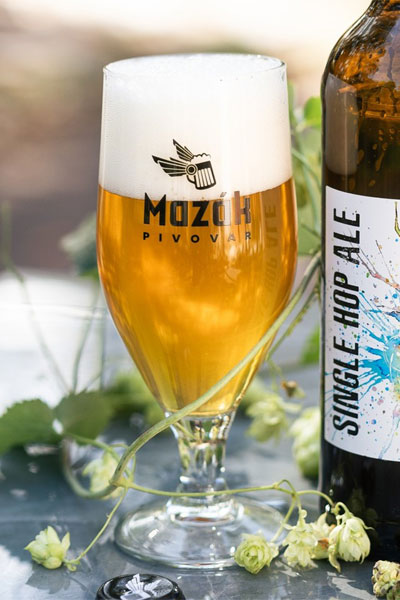 Kliknutím zvětšíte Mazak 231