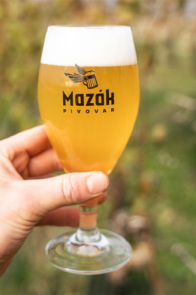 Kliknutím zvětšíte Mazak 233