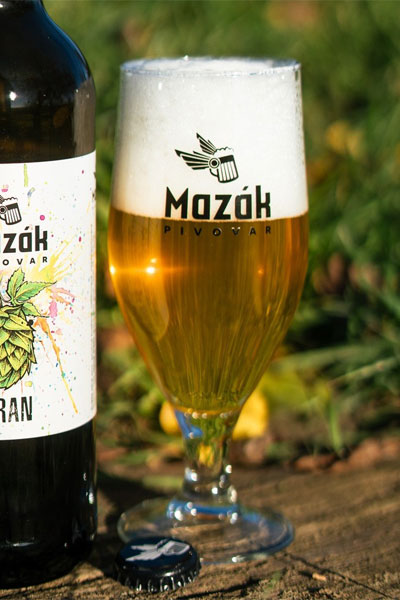 Kliknutím zvětšíte Mazak 235