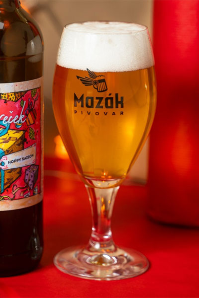 Kliknutím zvětšíte Mazak 241