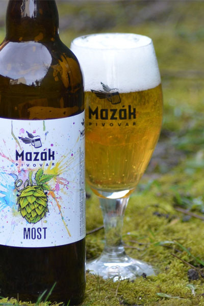 Kliknutím zvětšíte Mazak 248