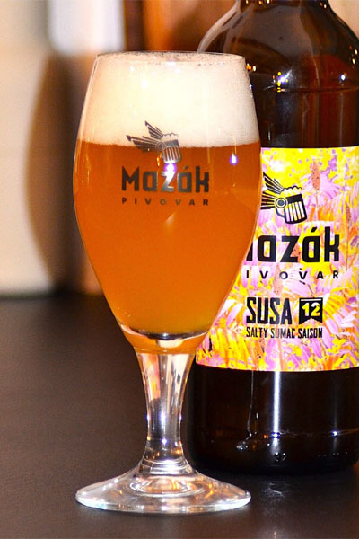 Kliknutím zvětšíte Mazak 249