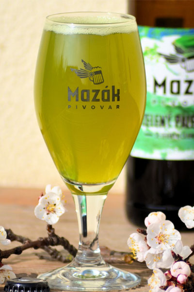 Kliknutím zvětšíte Mazak 261