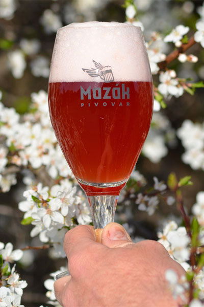 Kliknutím zvětšíte Mazak 262