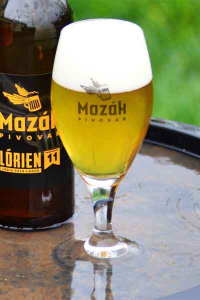 Kliknutím zvětšíte Mazak 264