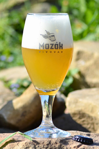 Kliknutím zvětšíte Mazak 265