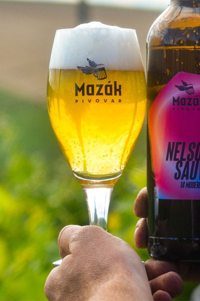 Kliknutím zvětšíte Mazak 271