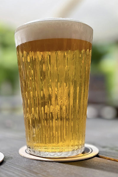 Kliknutím zvětšíte Pikard 019