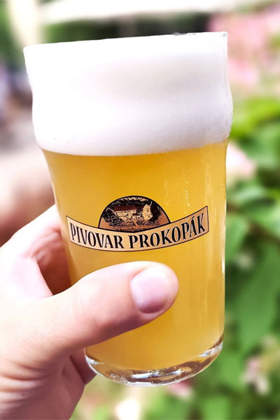 Kliknutím zvětšíte Prokopak 029