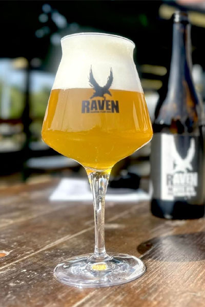 Kliknutím zvětšíte Raven 010