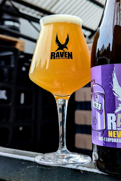 Kliknutím zvětšíte Raven 179