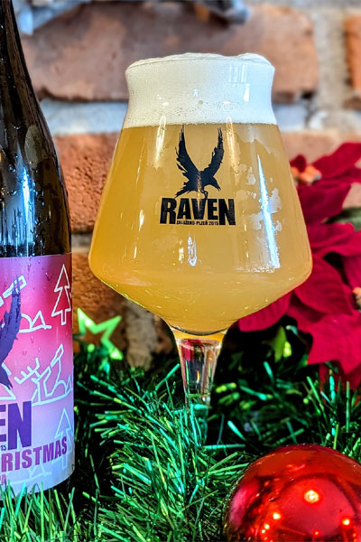 Kliknutím zvětšíte Raven 197